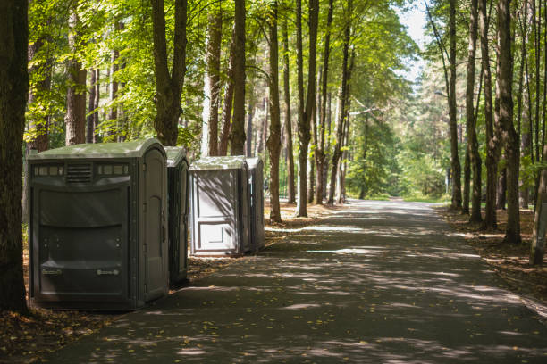Best Porta potty rental for parties  in Hemlock, MI